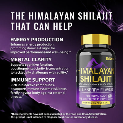 BSYS SHILAJIT GUMMIES 60'S Cirexo